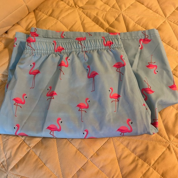 🦩 Men’s Bathing Suit Size XL - Picture 2 of 5